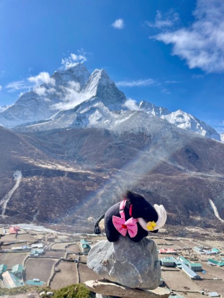 尼泊爾聖母峰EBC基地營❤️風景篇2790988