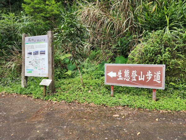 五指山橫向登山步道×猴洞步道一線天3060549