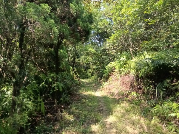 內湖區大丘田保甲路+開眼山+白石湖山+白石湖山東峰+大邱田山+消防山O型2858888