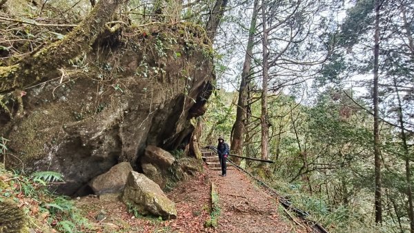 神阿縱走~台灣難抵極~大塔山2971484