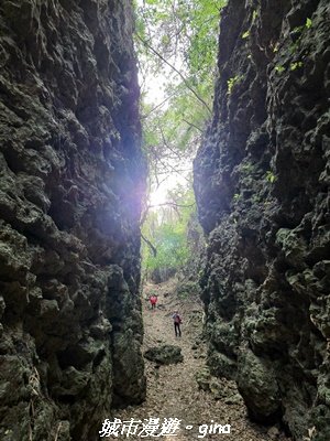 【高雄田寮】小百岳大崗山x大崗山磐龍峽谷步道3013150