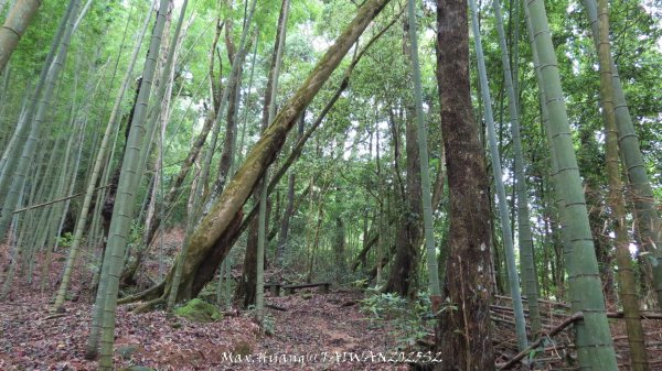 《雲林》望好望角｜石壁山嘉南雲峰步道(中側登山口）202506072805466