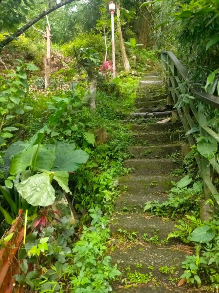 臺北大縱走第七段：世界山莊至飛龍步道2810237