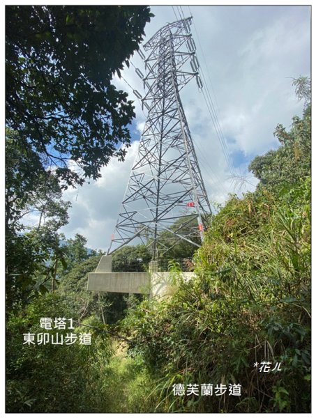 東卯山、東卯山西峰、東卯山西南峰 連走2932850