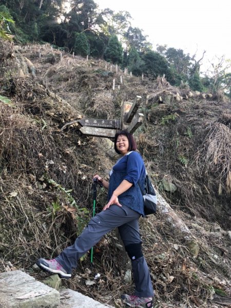 竹子尖山到獵鷹山473230