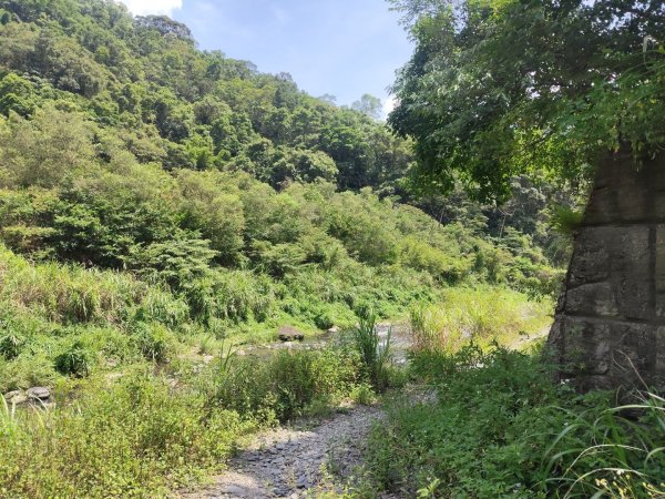 桶後林道&阿玉溪秘境3082202