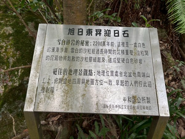 圓通寺烘爐地登山步道大O走3007152