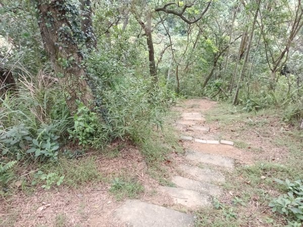 汐止區小南港山(橫科山)+白匏湖+白匏湖山+白雲古道2970621