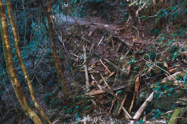 霞山鐵道野營2843090