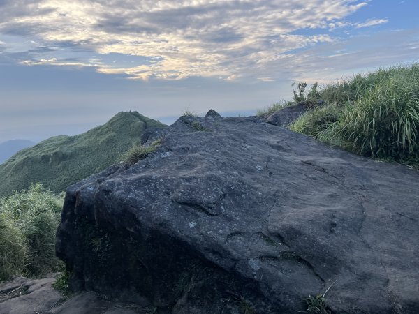 [山頂鳥40周年會員大縱走-15/15] 2024_0806 七星山主峰、東峰步道2571409