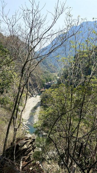 波津加山2137286