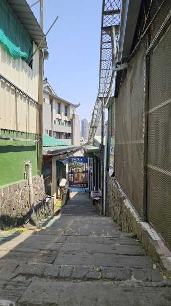 【柴山、壽山、萬壽山，到底哪個才是你！🤣🤣】走一座可以映照出高雄不同時期歷史軌跡的山。3025866