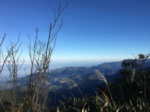 鳶嘴稍來山步道303776