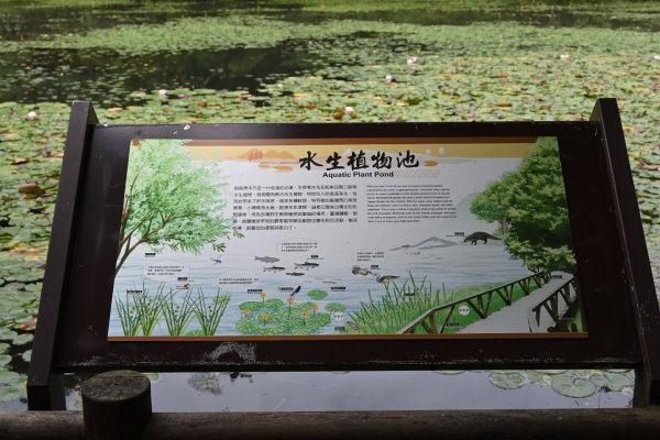 2025_0712 福山植物園2836155