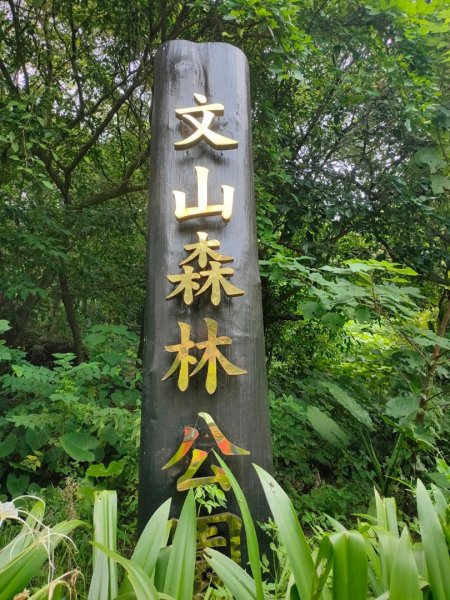［健康大穀東］（29）：文山森林公園（2023/8/20）2258852