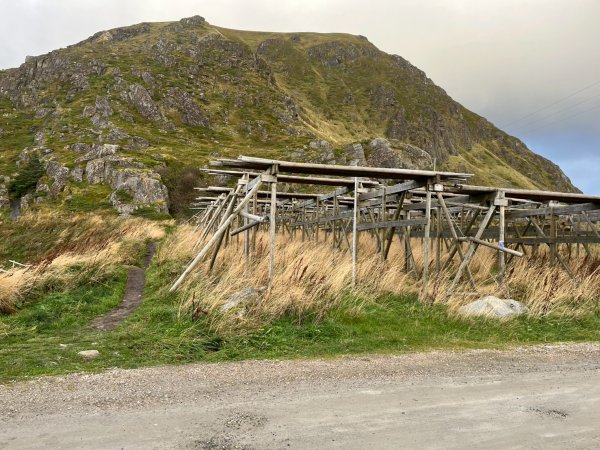 Norway-Lofoten Islands-Ballstad-北極圈健行2917705