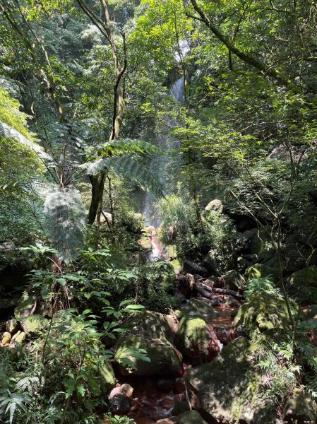 台北 陽明山 絹絲瀑布-擎天崗2722177