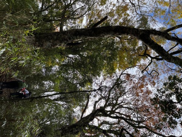 20221112_北得拉曼山2762257