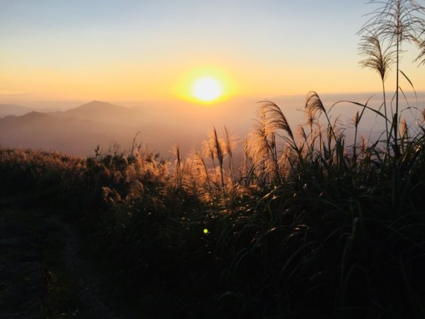 秋陽、金芒、基隆山464490