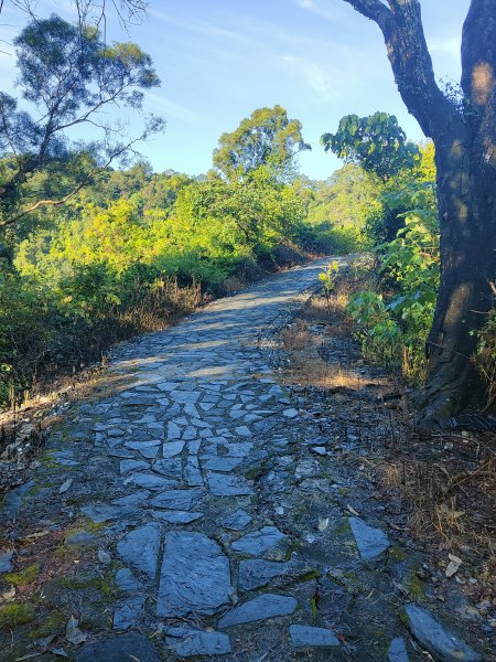 龍頭山步道2371704