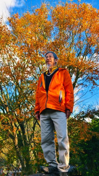 #花卉試驗中心 #永公路500巷 #平菁街42巷 #原住民公園 #士林官邸 1/42976573