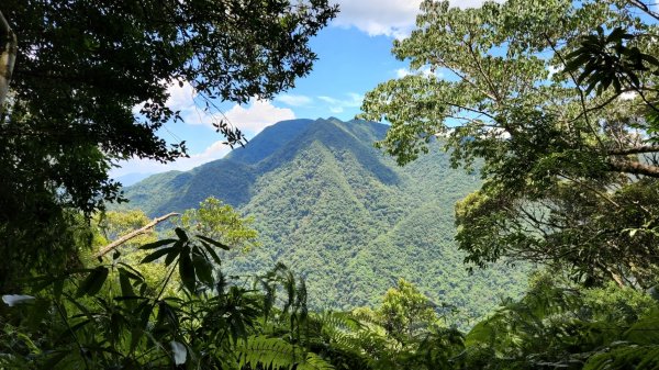 塔曼山，拔刀爾山，美鹿山南峰，內洞林道，大刀山，啦卡登山步道，桃園枕頭山，阿姆坪生態公園，大溪坪古道1795472