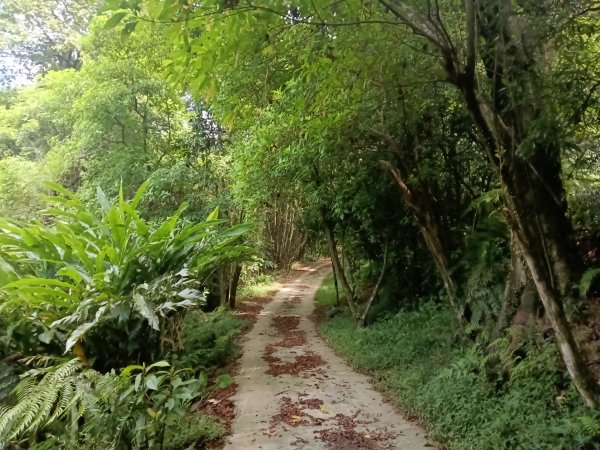 汐止區夢湖保線路+單車夢湖路O型2894080