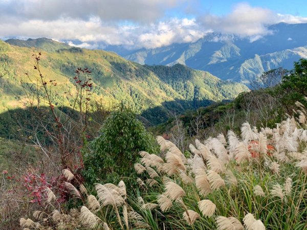 神秘李崠山的雲海、紅槭、古堡遺跡