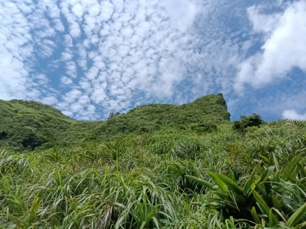 瑞芳區海園古道+鼻頭港稜+鼻頭山稜O型2872775