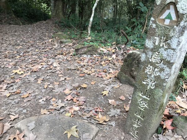 110年1月22日苗栗 馬那邦山1425185