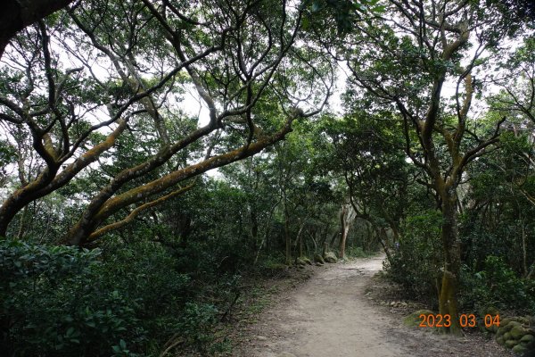 新竹 芎林 飛鳳山、中坑山、大板根、石壁潭山2052615