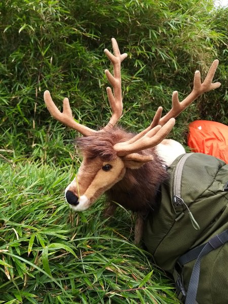 190928-奇萊北驚魂(米塔颱風)1650260