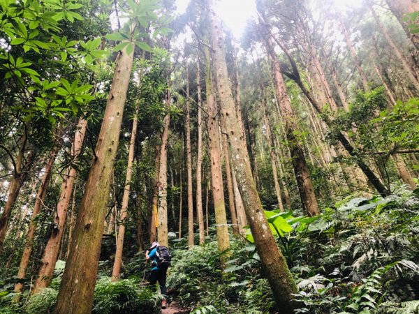 1090725高台山+美人湯1045465