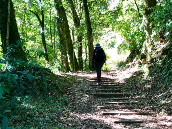 自忠上東水山連走特富野古道1244601