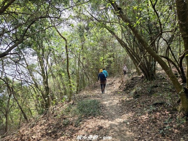【屏東瑪家】小百岳笠頂山步道3013104