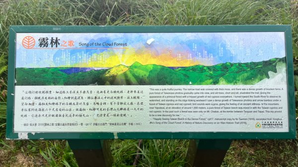 宜蘭 南澳 台灣山毛櫸國家步道1881374