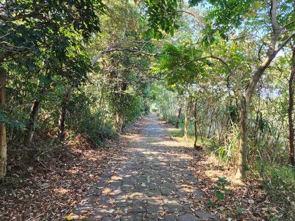 新竹湖口｜萬年道、仁和步道、金獅古道、漢卿步道2912220