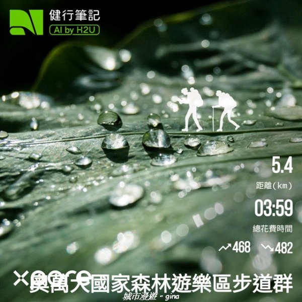 【南投仁愛】光影下的森林療育。 奧萬大國家森林遊樂區步道群2973142