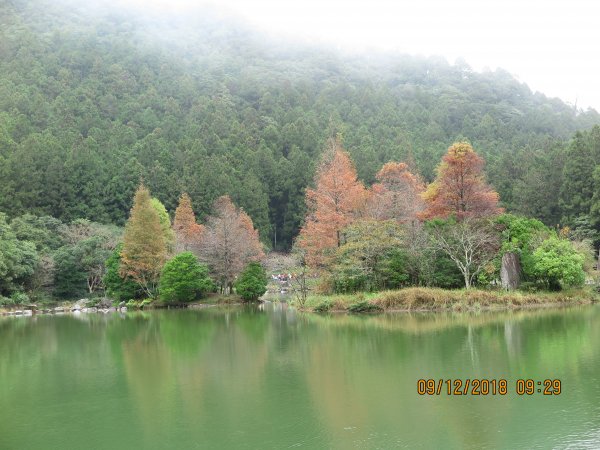 明池及粉鳥林海邊479982