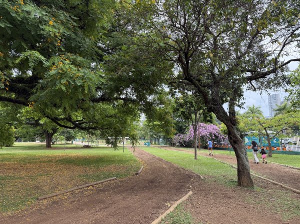 [紐約馬之行-67] 2025_1116 伊比拉布埃拉公園-上2955027