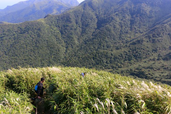 小觀音山群峰731000