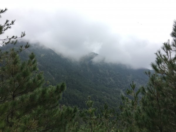 20161109-10_奇萊南華873695