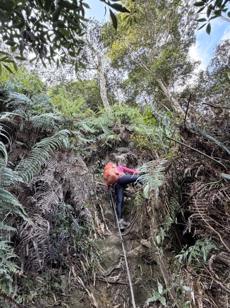 谷關 白毛山-逆O繞 202603153018974