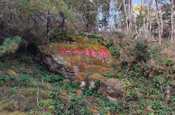 麟趾山、鹿林山、鹿林前山三山縱走(塔塔加三山)2990359