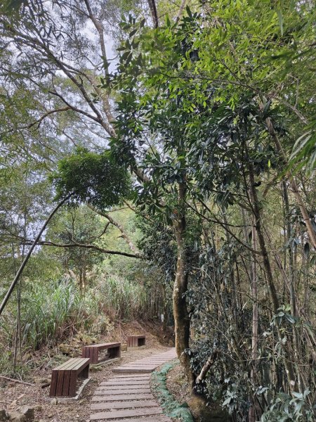 2023.12.30 雲嘉大尖山2840425