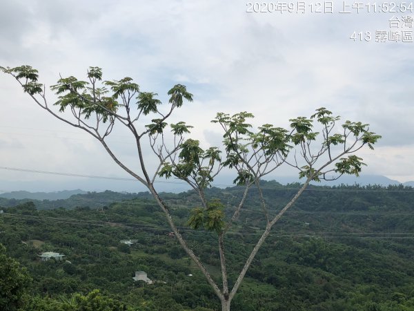 台灣小百岳No.046 阿罩霧山1102198