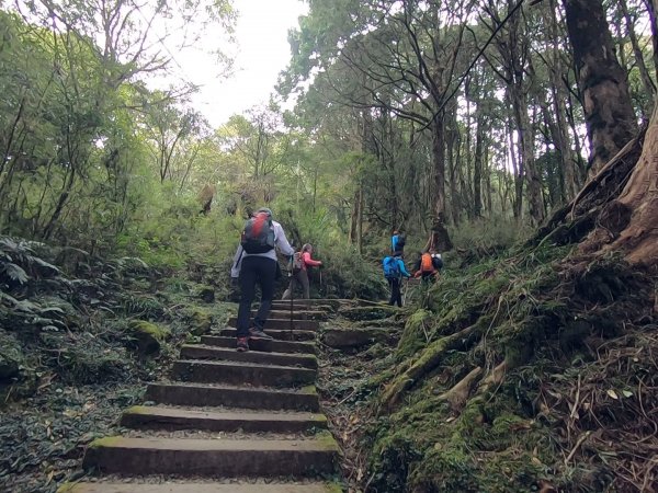 大塔山、對高岳、小笠原 O型環線1195222