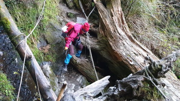 20190406畢祿山單攻563740