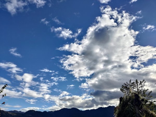 【新竹縣五峰鄉】檜山巨木森林步道2833688