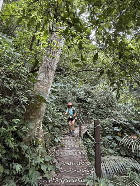 唐麻丹+蝴蝶谷O繞2887843